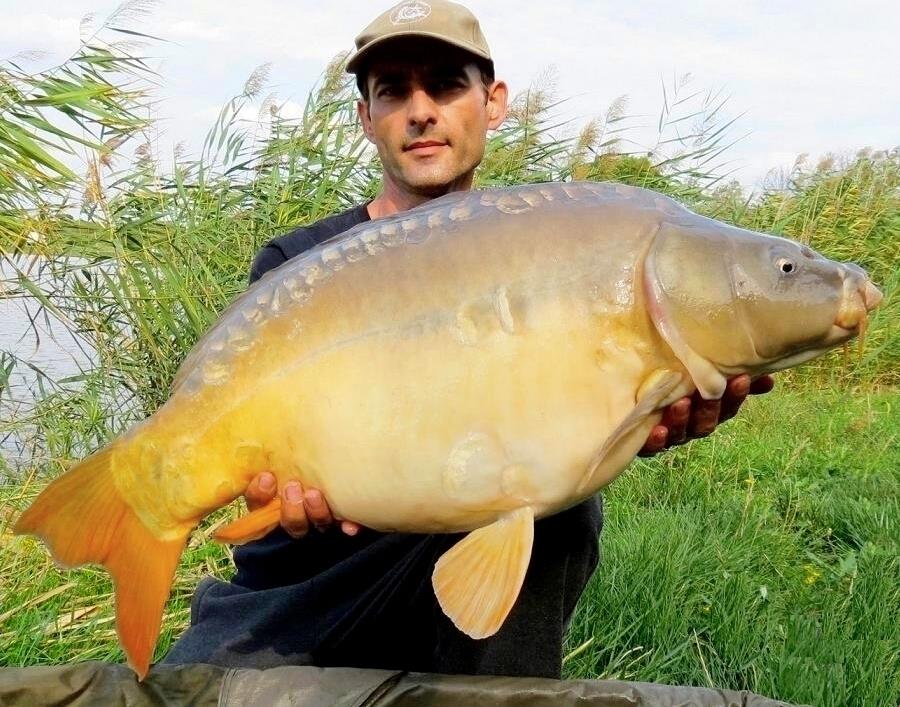 The best pictures of 2013 - 9,850